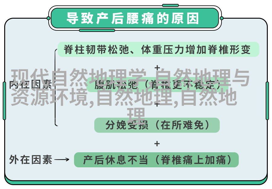 宠物专用喷嘴系统